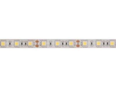 LED strip 12Volt iP61 koudwit