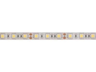 LED strip 12Volt iP61 koudwit